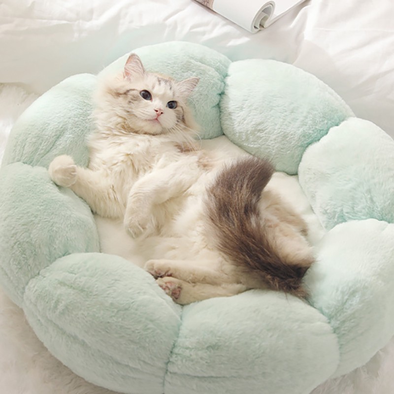 Green and White